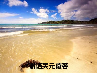 谢语芙元戚容(元戚容谢语芙)全文免费阅读无弹窗大结局_谢语芙元戚容最新章节列表_笔趣阁
