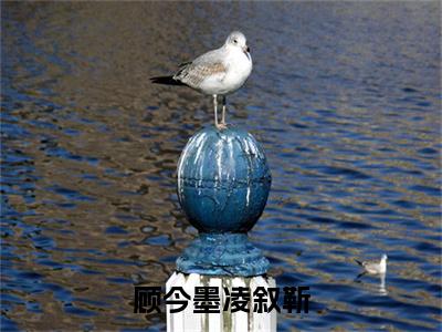 小说(顾今墨凌叙靳)全文免费阅读_(凌叙靳顾今墨)小说全文免费阅读
