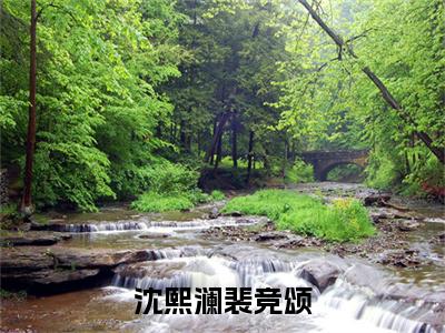 沈熙澜裴竞颂全文免费阅读_（裴竞颂沈熙澜免费阅读无弹窗）裴竞颂沈熙澜最新章节列表笔趣阁