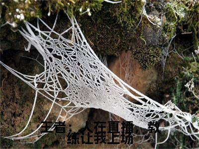 王者：人在直播，教练让我上场全文免费阅读无弹窗,江尘小说最新章节列表无删减_笔趣阁