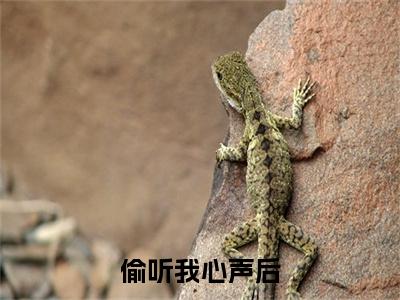  姜微姜随全文免费阅读大结局-偷听我心声后，全家炮灰都觉醒了完整版无弹窗