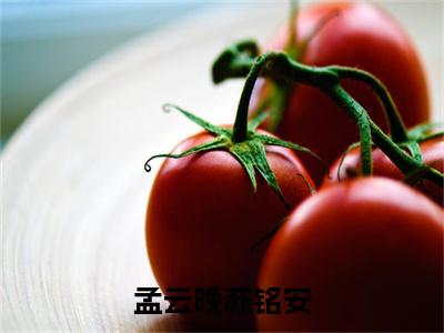孟云晚苏铭安(苏铭安孟云晚)全文免费阅读无弹窗大结局_(苏铭安孟云晚)的小说(孟云晚苏铭安)最新章节列表