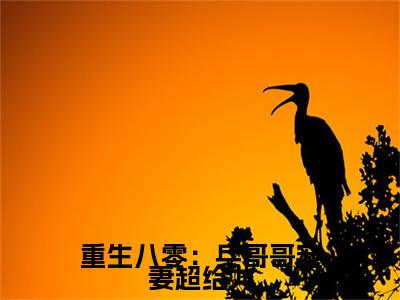 (重生八零：兵哥哥宠妻超给力抖音小说)迟晟霖谢欣岚小说全文阅读免费