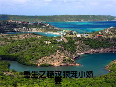 重生之糙汉狠宠小娇妻孟清澈叶景川正版小说最新章节在线阅读-2023最火热点小说重生之糙汉狠宠小娇妻最新更新