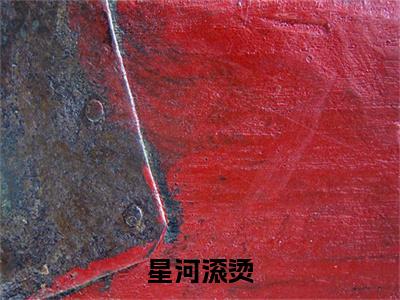 尹晚沈清珂沈清铭热门小说在哪免费看-小说星河滚烫（尹晚沈清珂沈清铭）完整版全文在线赏析