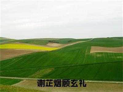 顾玄礼谢芷烟热门小说在线阅读 谢芷烟顾玄礼全网推荐(顾玄礼谢芷烟)全文