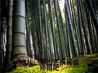 杨万里全文免费阅读大结局_徒儿，下山去祸害你师姐吧已完结全集杨万里大结局小说
