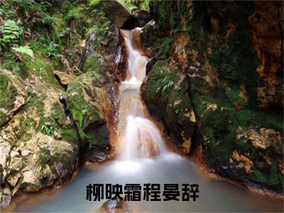 柳映霜程晏辞阅读无弹窗大结局_程晏辞柳映霜穿越小说免费阅读_笔趣阁
