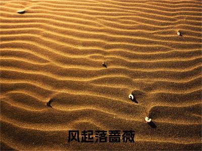 风起落蔷薇美文欣赏完整版,沈惟意傅钦精彩章节在线阅读
