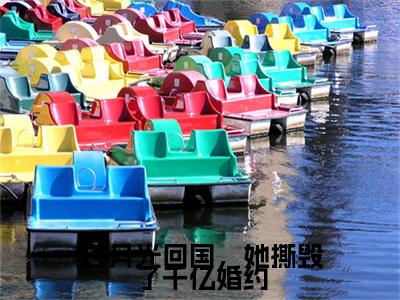 白月光回国,她撕毁了千亿婚约(韩奚沈季珩)高质量小说韩奚沈季珩推荐阅读-白月光回国,她撕毁了千亿婚约(韩奚沈季珩)小说最新章节