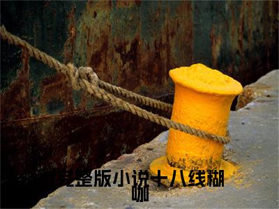 十八线糊咖，靠崽上位了 李威宋韩星完整版全文在线赏析- 李威宋韩星全文在线阅读