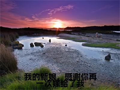 傅修林池紫艺小说完整版阅读-（我的新娘，感谢你再一次嫁给了我）小说全文免费阅读