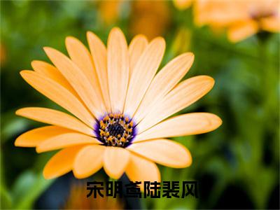 皇帝昏庸，姐带空间搬空他私库宋明鸢陆裴风小说全文在线赏析  宋明鸢陆裴风小说免费阅读全文大结局