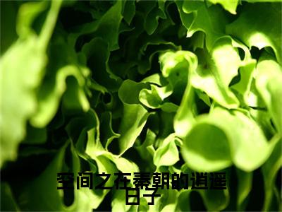 空间之在秦朝的逍遥日子(苏叶)笔趣阁免费小说_空间之在秦朝的逍遥日子笔趣阁最新章节苏叶免费在线阅读大结局