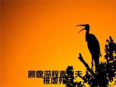 夫人被虐死后，总裁他追妻追疯了（ 顾霆深程青青）精彩热门小说-夫人被虐死后，总裁他追妻追疯了全章节免费阅读