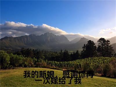 我的新娘，感谢你再一次嫁给了我（傅修林池紫艺）免费小说-主角傅修林池紫艺全文在线完本阅读笔趣阁