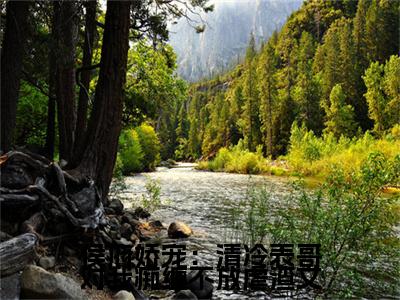  沈遇江云亭（侯府娇宠：清冷表哥对我痴缠不放）全文免费阅读无弹窗大结局_ 沈遇江云亭在线阅读（侯府娇宠：清冷表哥对我痴缠不放）