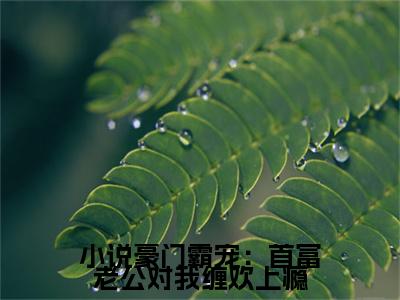  南夏傅听寒（小说豪门霸宠：首富老公对我缠欢上瘾）小说推荐精彩章节全文阅读-热门小说小说豪门霸宠：首富老公对我缠欢上瘾（ 南夏傅听寒）精选章节阅读