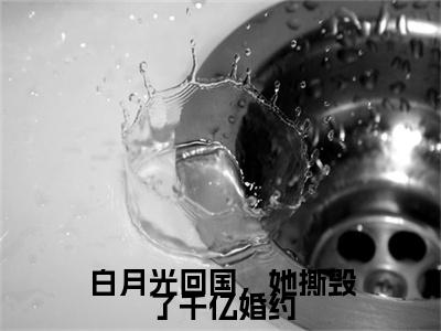 韩奚沈季珩（白月光回国，她撕毁了千亿婚约）完整版小说阅读_白月光回国，她撕毁了千亿婚约全文免费阅读笔趣阁（韩奚沈季珩）