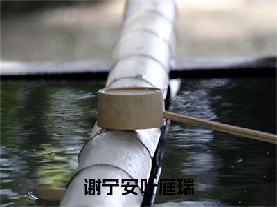 叶庭瑞谢宁安(谢宁安叶庭瑞)精选小说大结局阅读-抖音新书热荐叶庭瑞谢宁安