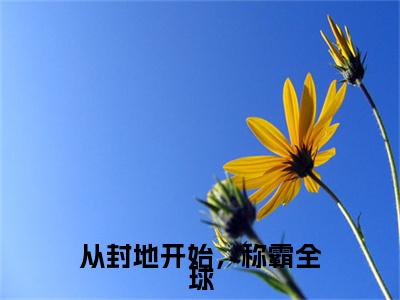 从封地开始，称霸全球（罗艺）新上热文小说全文免费阅读-小说（罗艺）完整版阅读