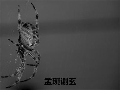 孟琬谢玄（谢玄孟琬）小说最新推荐-谢玄孟琬孟琬谢玄小说在线分享