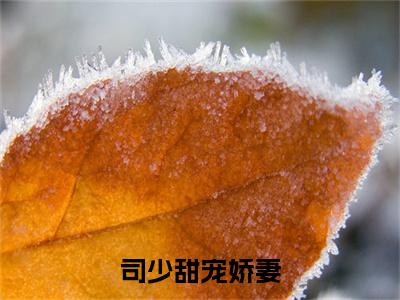 司少甜宠娇妻（司博御云茸茸）全文免费阅读_司少甜宠娇妻小说最新章节列表笔趣阁
