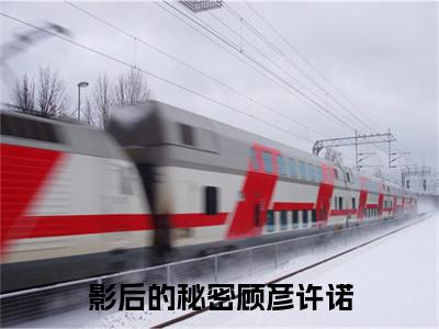 影后的秘密顾彦许诺正版小说最新章节在线阅读-小说 顾彦许诺影后的秘密顾彦许诺已完结全集大结局