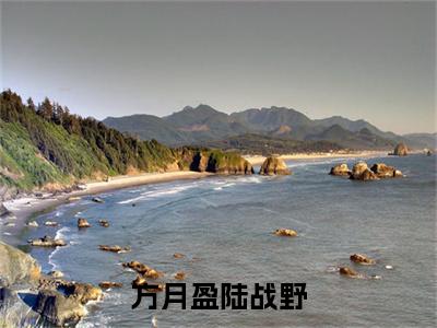 陆战野方月盈（方月盈陆战野最新全章节大结局）全文阅读