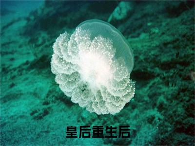  姜芙施恒是什么小说 皇后重生后，暴君每天都在花样追妻正版小说免费阅读_笔趣阁