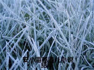  安小海林漩儿全文免费阅读无弹窗大结局-人生重开：看他如何逆天改命小说精选版阅读最新章节列表免费阅读