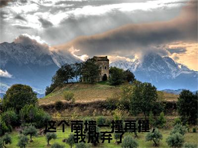 新书热荐这个南墙一撞再撞,我放弃了全文免费阅读无弹窗大结局-小说唐卿予陈清彦全文完整版免费阅读