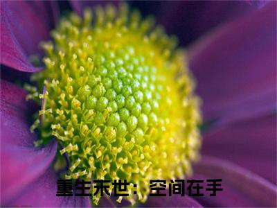 重生末世：空间在手，主打一个躺平( 陈雪玲李君泽)全文免费读无弹窗大结局_ 陈雪玲李君泽免费小说无弹窗最新章节列表_笔趣阁