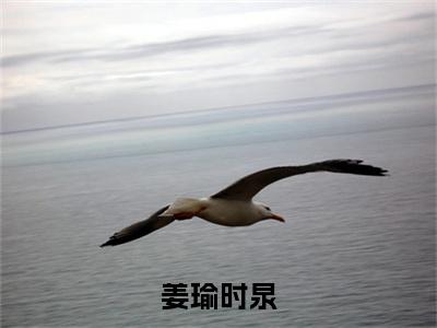 姜瑜时泉小说全文-时泉姜瑜无弹窗免费阅读