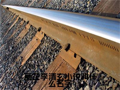  李清玄画芷（画芷李清玄小说叫什么名字）新上热文免费阅读- 李清玄画芷（画芷李清玄小说叫什么名字）无广告在线阅读