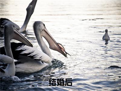 结婚后，冲喜老公成教授，还死盯我！（ 叶曼青叶屿）全文免费阅读无弹窗大结局_结婚后，冲喜老公成教授，还死盯我！小说最新章节列表_笔趣阁