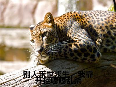 别人末世求生，我靠开挂嘎嘎乱杀（陆笙）小说全文免费阅读-陆笙小说最新章节完整版