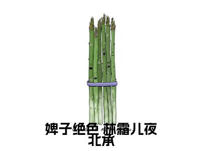 婢子绝色( 林霜儿夜北承)全文免费阅读无弹窗大结局_婢子绝色免费阅读无弹窗最新章节列表_笔趣阁( 林霜儿夜北承)