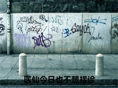 医仙今日也不想接诊全文小说(柳寻芹越长歌)全文阅读-医仙今日也不想接诊在线小说免费阅读