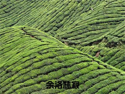 余洛林寂（林寂余洛）全文免费阅读无弹窗_余洛林寂:林寂余洛最新小说_笔趣阁（林寂余洛）