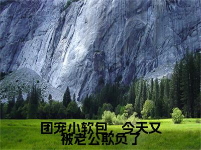 团宠小软包,今天又被老公欺负了无广告免费阅读-小说洛宝傅清宴最后结局如何