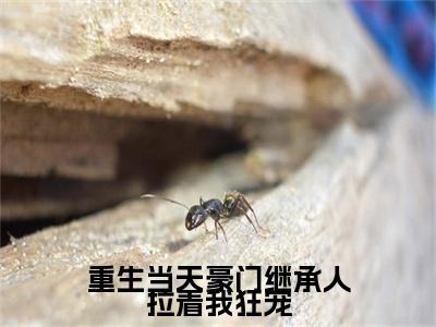 重生当天豪门继承人拉着我狂宠小说(苏薇时宴)免费阅读全文无弹窗大结局_苏薇时宴免费阅读无弹窗小说_小说笔趣阁