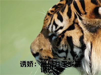  宋慈安裴悯小说（诱娇：暴戾九千岁蓄谋已久）免费阅读-诱娇：暴戾九千岁蓄谋已久（ 宋慈安裴悯）全章节最新阅读