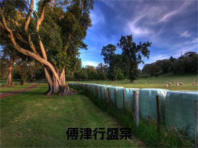 傅津行盛棠（盛棠傅津行）全文免费阅读无弹窗大结局_（傅津行盛棠）盛棠傅津行全文阅读-笔趣阁（傅津行盛棠）