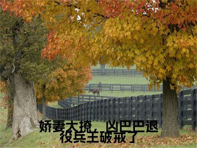 娇妻太撩，凶巴巴退役兵王破戒了（苏酥战烈）小说小说全集 苏酥战烈无删减在线阅读