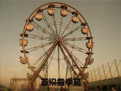 苏染霜季荀（季荀苏染霜）全文免费阅读_苏染霜季荀（季荀苏染霜）最新章节小说免费阅读（苏染霜季荀）