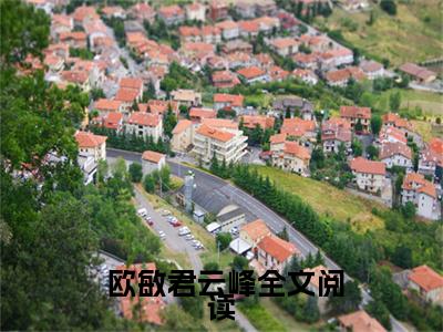  欧敏君云峰小说（荒野启示录）无弹窗大结局-荒野启示录（ 欧敏君云峰）完整版免费阅读