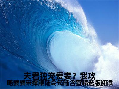  陆令筠陆含宜知乎小说全文免费阅读_（ 陆令筠陆含宜）夫君独宠爱妾？我攻略婆婆来撑腰陆令筠陆含宜精选版阅读知乎小说最新章节列表笔趣阁
