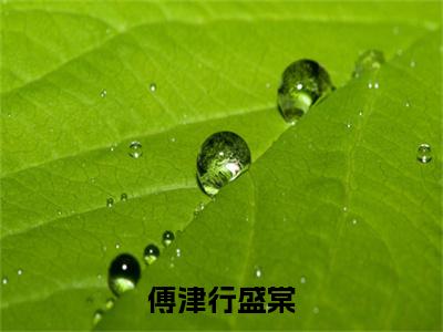 盛棠傅津行最新章节（傅津行盛棠）全文免费阅读无弹窗大结局_傅津行盛棠小说全文免费阅读正版无弹窗_笔趣阁（盛棠傅津行）