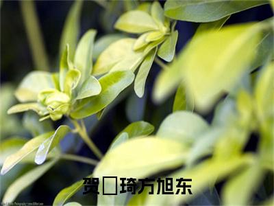 贺珺琦方旭东（方旭东贺珺琦）全本完整版免费阅读_ (贺珺琦方旭东)方旭东贺珺琦全文章节目录_笔趣阁（方旭东贺珺琦）